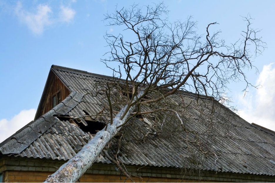 Gathering Evidence to Support Your Roof Damage Claim